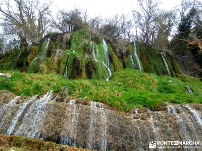 Parque Natural Monasterio de Piedra; actividades de campamentos de verano; como hacer senderismo;fel